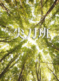 深夜福利视频导航